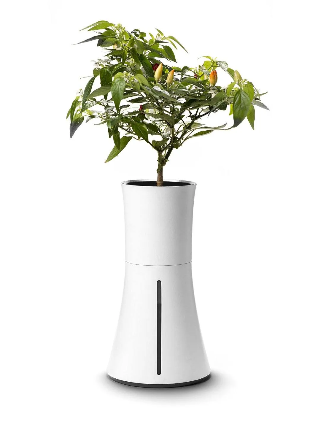 Smart Vase